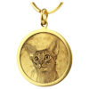 Close-up of a custom photo engraved metal cat ID tag pendant