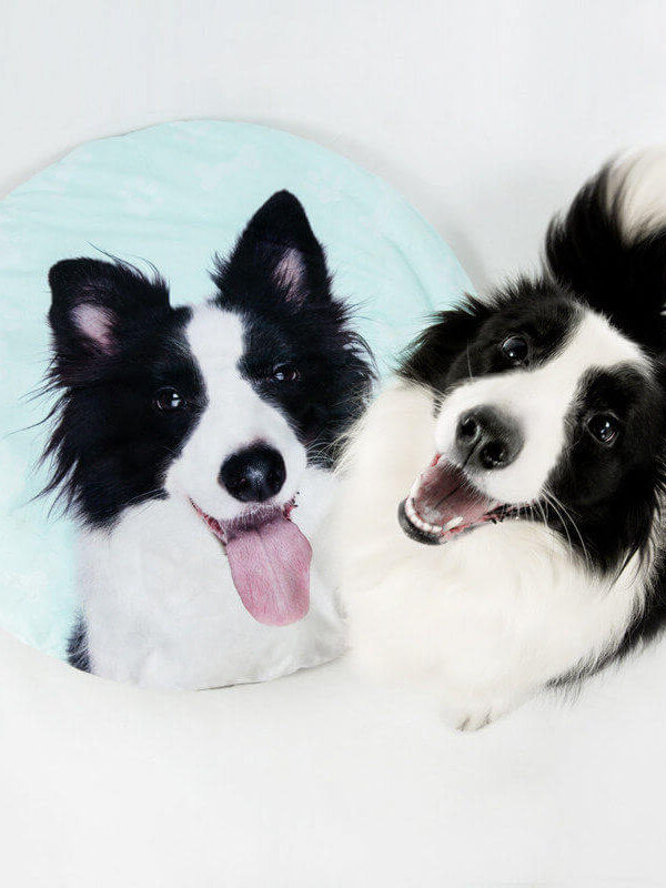 Custom round pet photo bed featuring personalized dog pictures, comfortable sleeping mat for dogs and cats