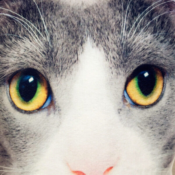 High-definition custom pet photo print detail on a soft plush shape pillow.