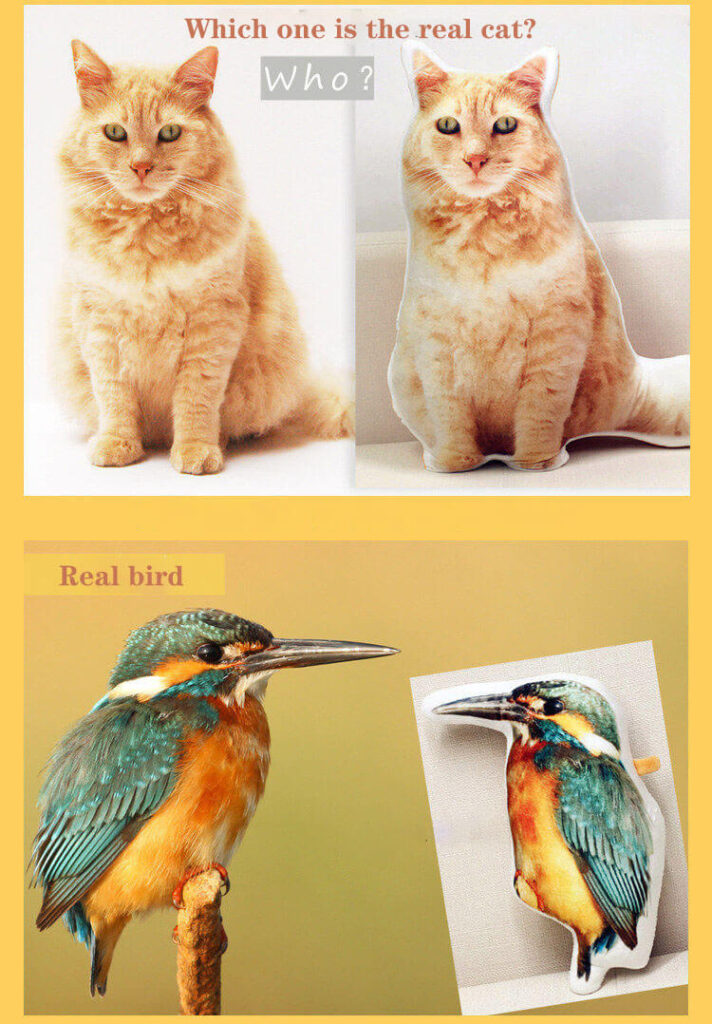 Comparison showing how realistic a custom pet photo pillow looks next to a real cat and bird.