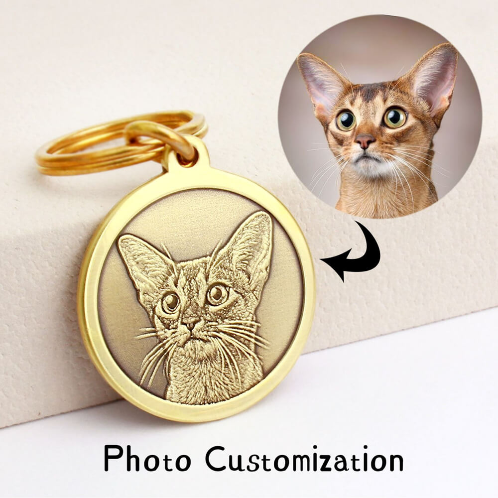Round brass cat ID tag featuring custom photo portrait and engraving