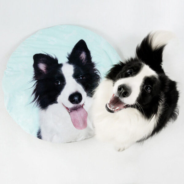 Personalized Pet Photo Bed & Shape-Customized Floor Mat