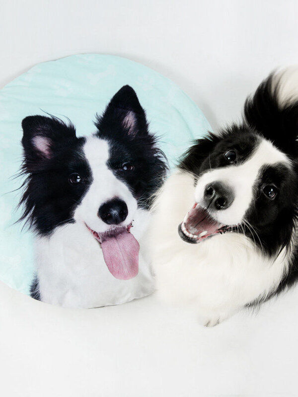 Personalized Pet Photo Bed & Shape-Customized Floor Mat