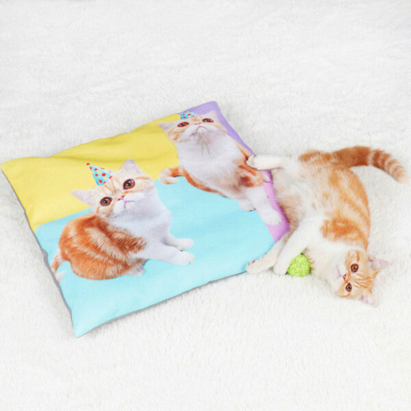 Personalized Pet Photo Bed & Shape-Customized Floor Mat