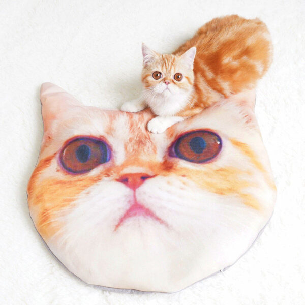 Personalized Pet Photo Bed & Shape-Customized Floor Mat