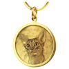 主图-05 Personalized Handcrafted 3D Engraved Pet ID Tag