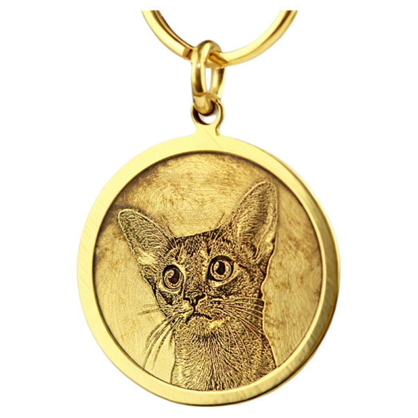 主图-05 Personalized Handcrafted 3D Engraved Pet ID Tag