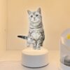 Personalized Pet Photo Night Light Memorial Decor