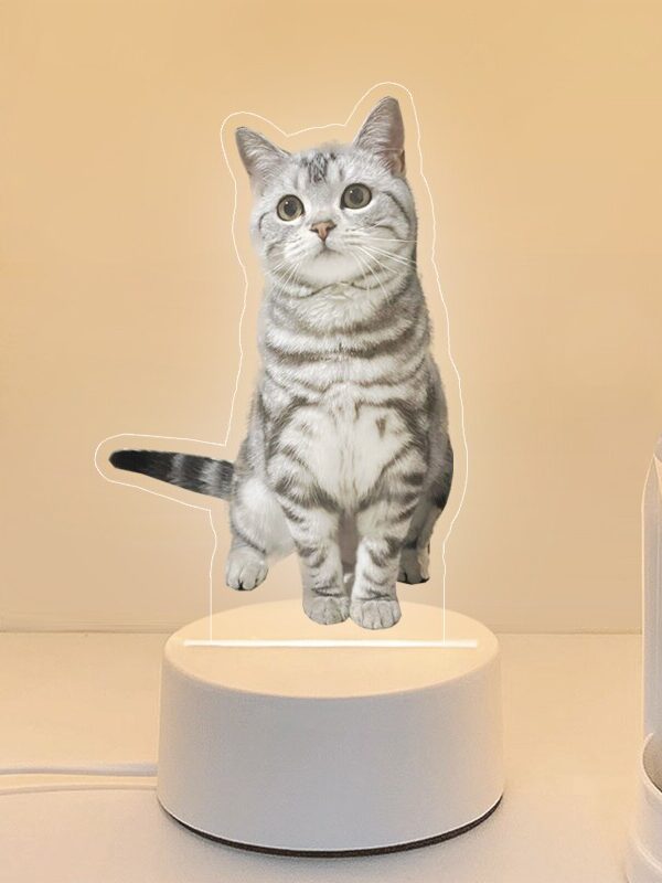 Personalized Pet Photo Night Light Memorial Decor