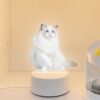 Personalized Pet Photo Night Light Memorial Decor