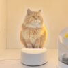 Personalized Pet Photo Night Light Memorial Decor