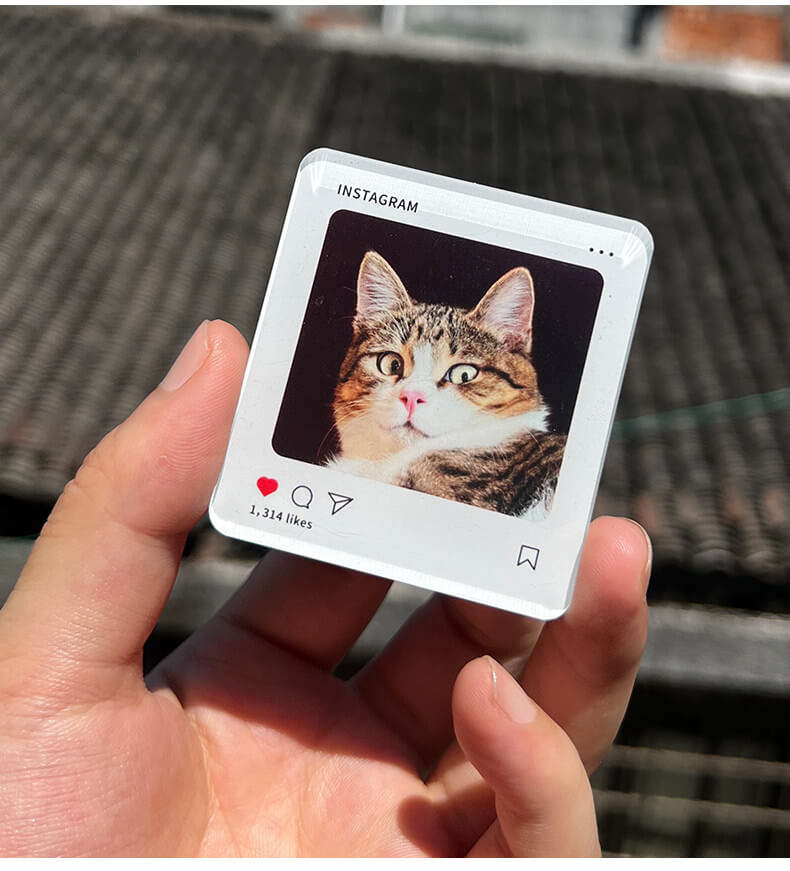 Custom acrylic cat portrait fridge magnet held outdoors