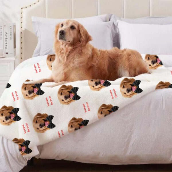 Golden retriever lying on custom pet portrait throw blanket