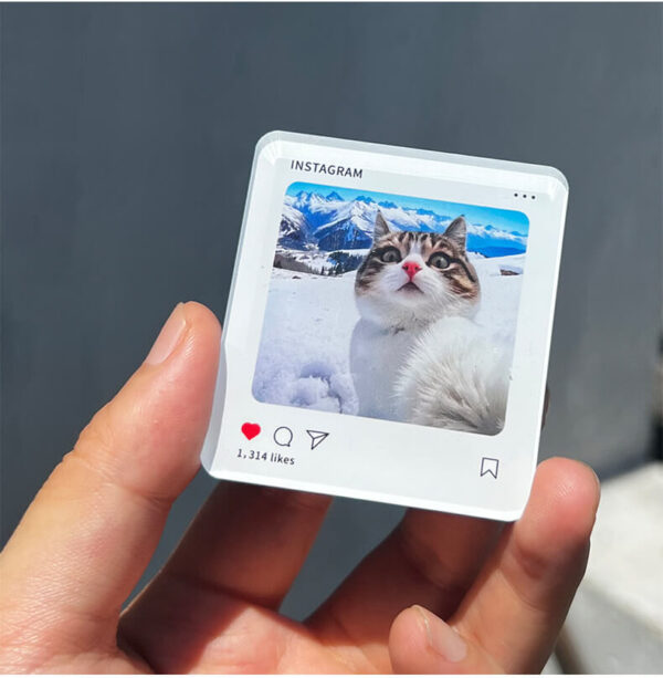 Hand holding a custom acrylic cat photo fridge magnet close up