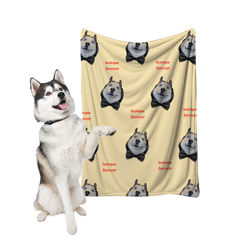 Siberian husky sitting beside a custom pet face photo blanket
