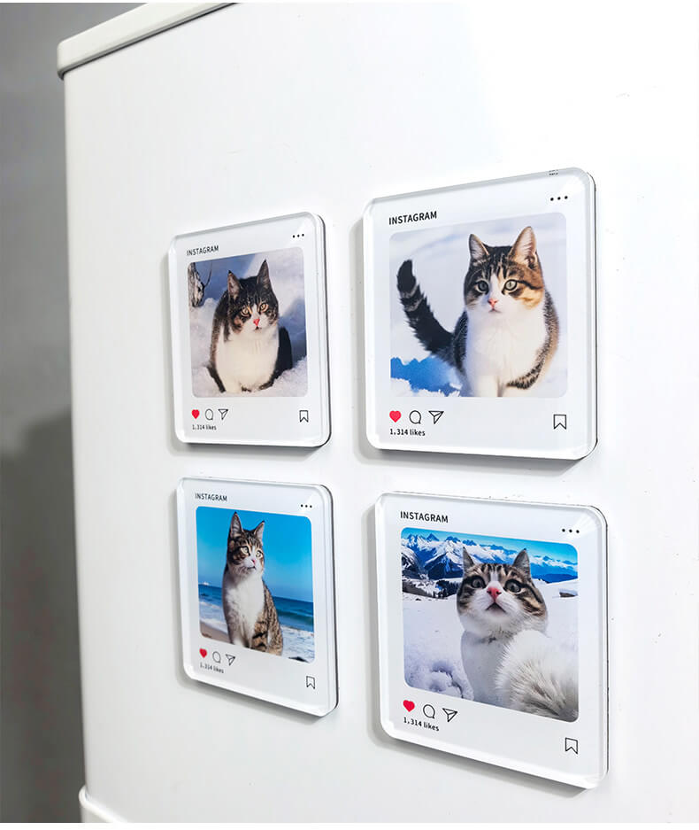 Multiple personalized acrylic pet portrait fridge magnets displayed on refrigerator