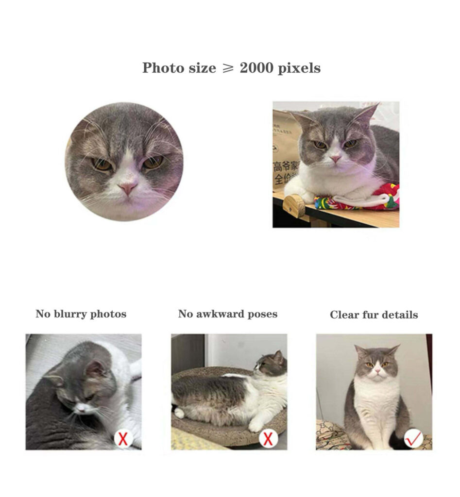 Photo upload guide showing clear and blurry examples for custom pet portrait puzzle