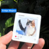 Personalized Pet Portrait Acrylic Fridge Magnet