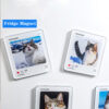 Personalized Pet Portrait Acrylic Fridge Magnet