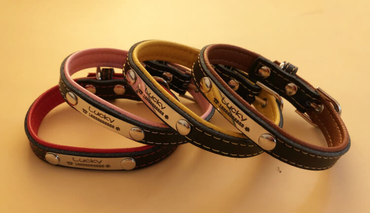Customized leather puppy collars in multiple colors with engraved name plate