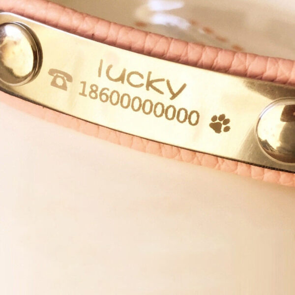 Close-up view of custom name and phone number laser engraving on leather pet collar tag