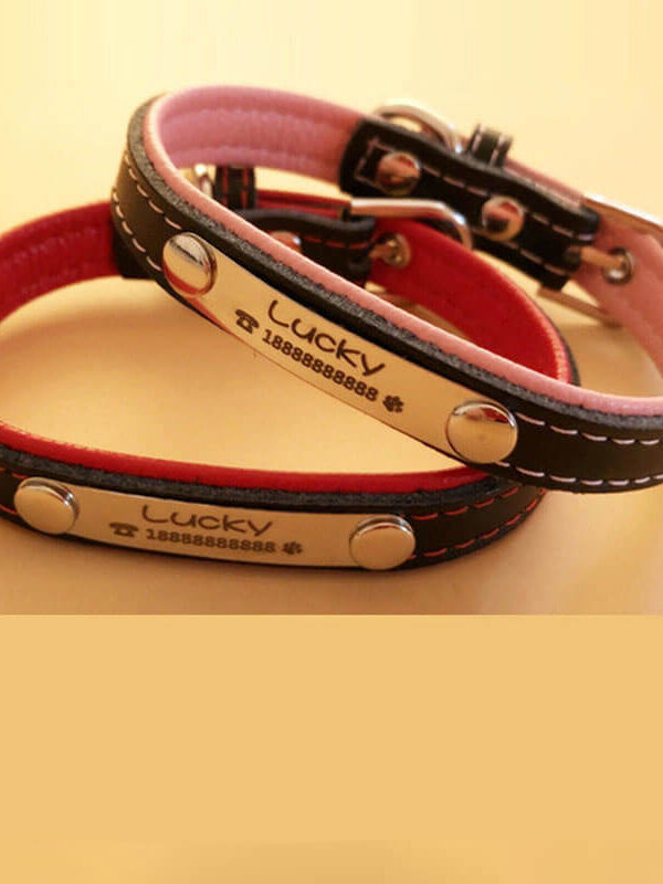 Custom engraved leather pet collar in red and pink color options with personalized ID tag