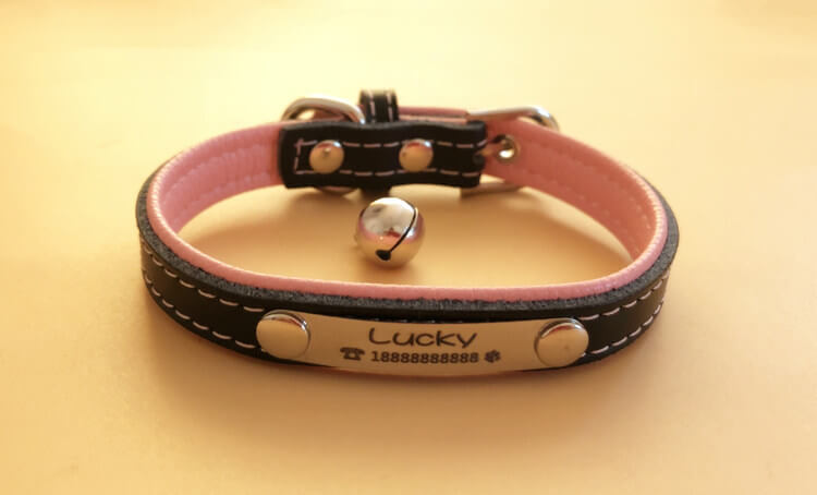 Custom pink leather cat and small dog collar with engraved name plate