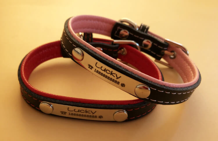 Custom leather dog collar with engraved nameplate - pink and red