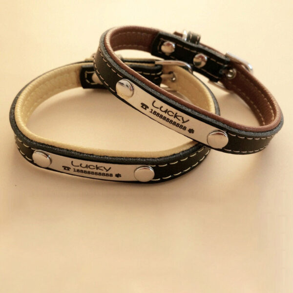 Personalized Engraved Leather Collar for Dogs & Cat