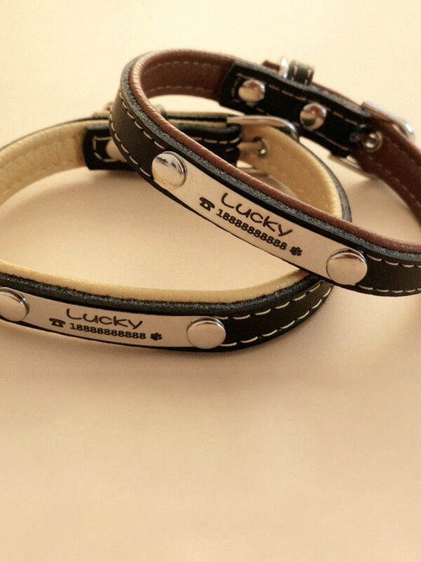 Personalized Engraved Leather Collar for Dogs & Cat