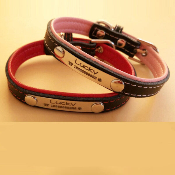 Personalized Engraved Leather Collar for Dogs & Cat