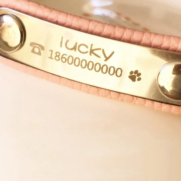 Personalized Engraved Leather Collar for Dogs & Cat