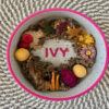 Colorful personalized pet bowl for cats with the custom engraved name Ivy