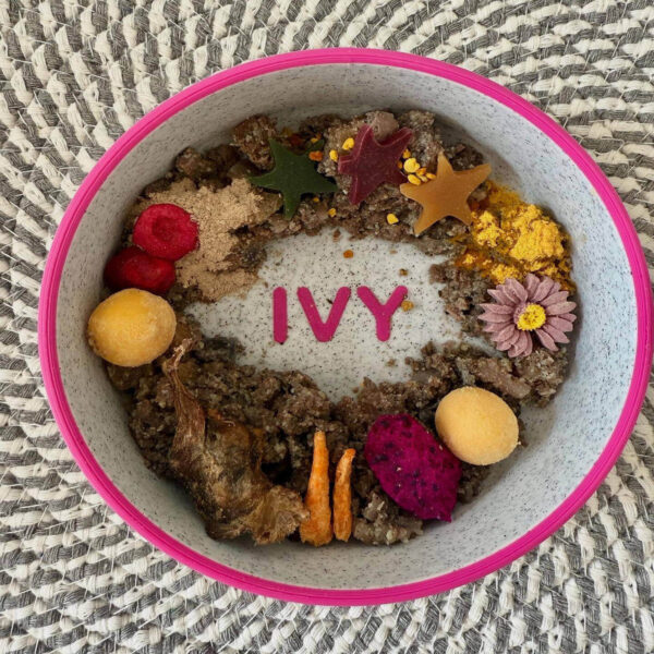 Colorful personalized pet bowl for cats with the custom engraved name Ivy