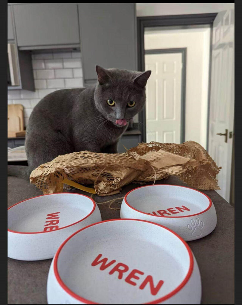 Multiple custom engraved marble-style pet bowls for cats with the name Wren