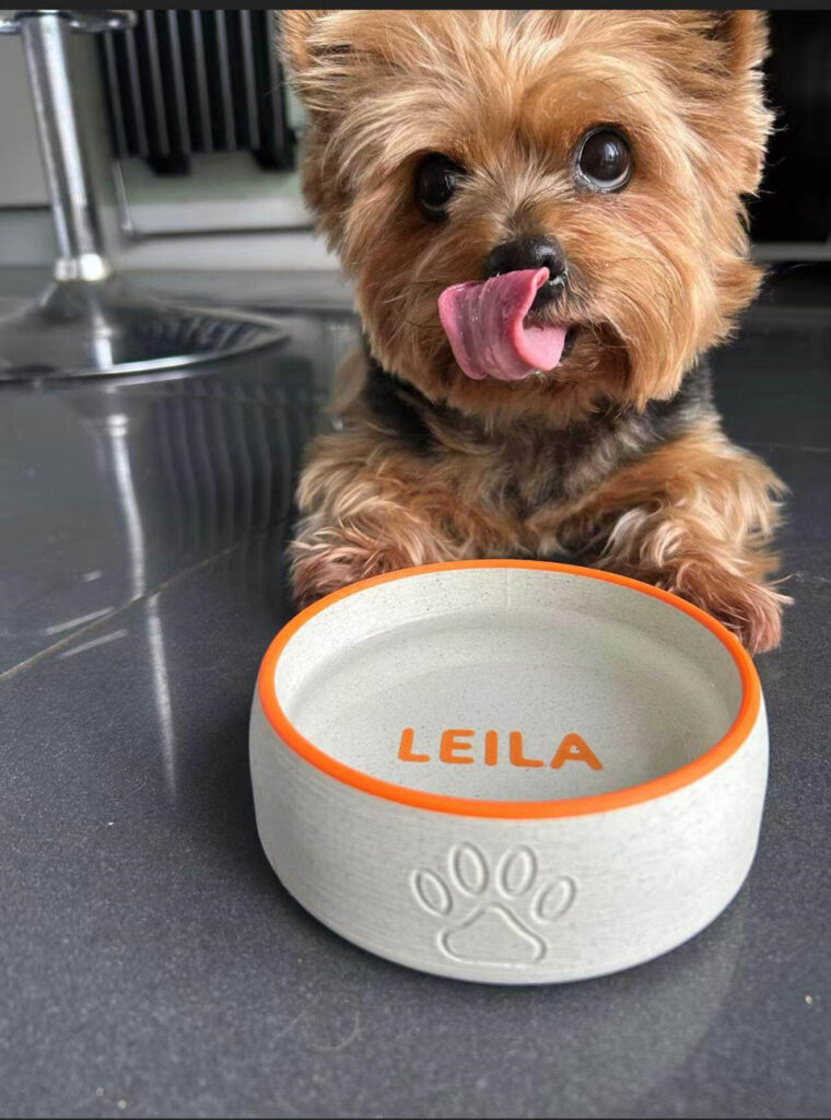 Cute dog next to a personalized pet bowl with the engraved name Leila.