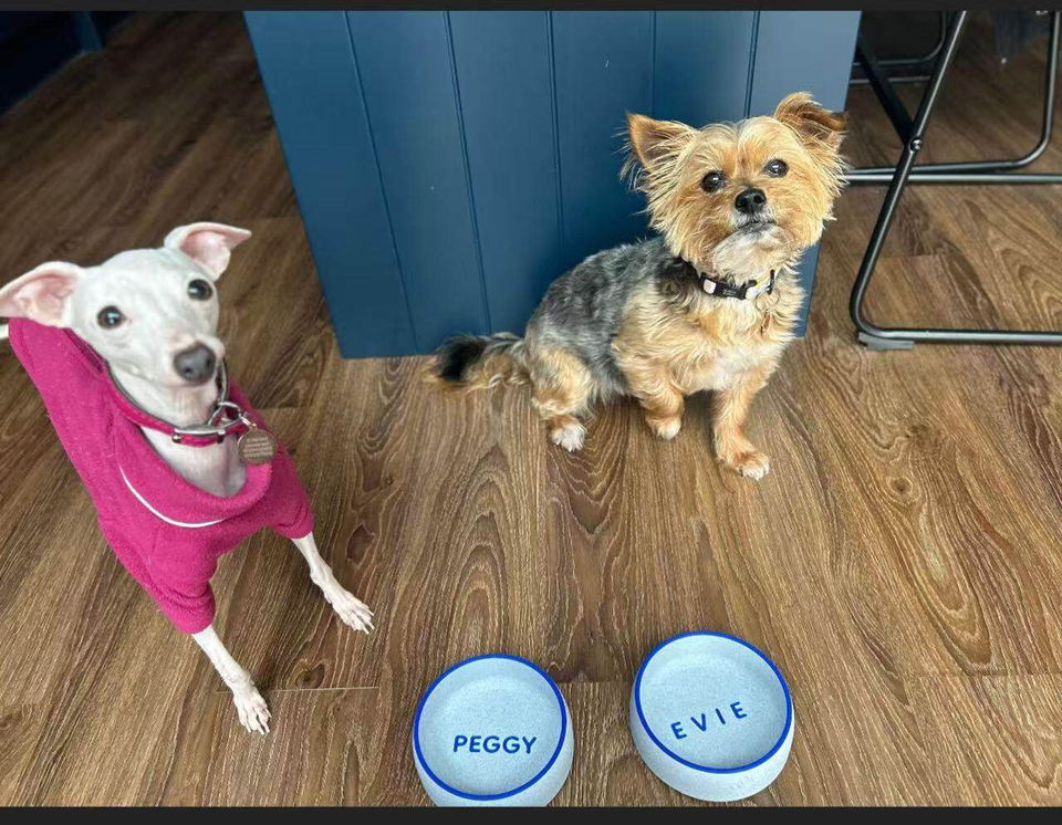 Two dogs sitting by their custom engraved personalized pet bowls named Peggy and Evie