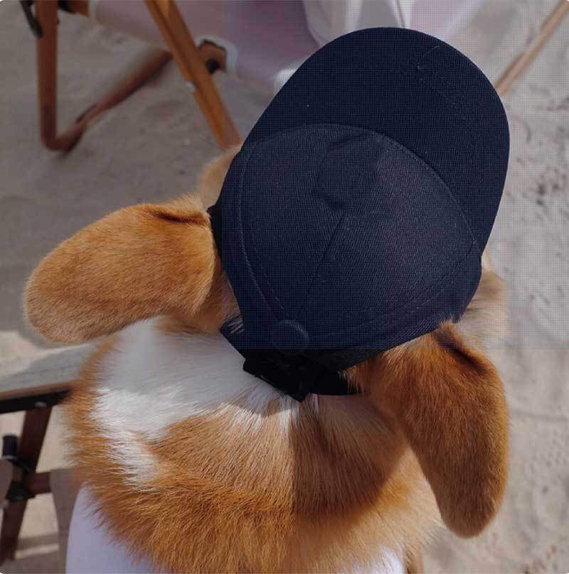 Adjustable dog baseball cap back view with ear openings