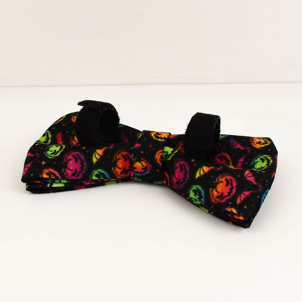 Back view of the Halloween pumpkin dog bow tie showing the elastic attachment loops