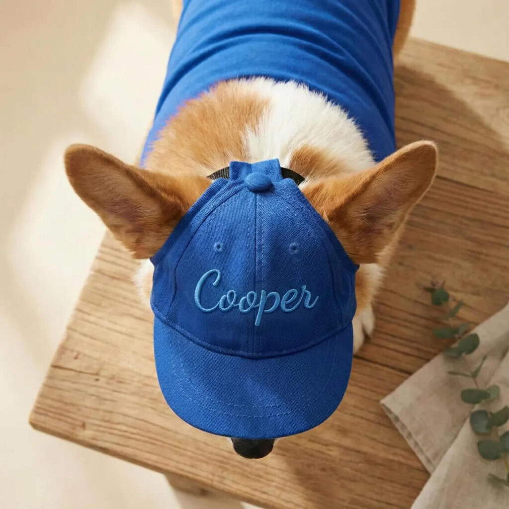 Blue custom name embroidered dog cap for pets