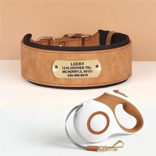 Personalized brown leather dog collar and matching 5m retractable leash set.
