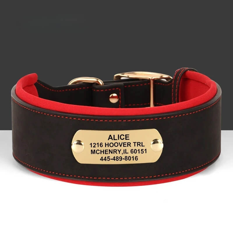 Custom engraved black wide leather dog collar for medium and large dogs.