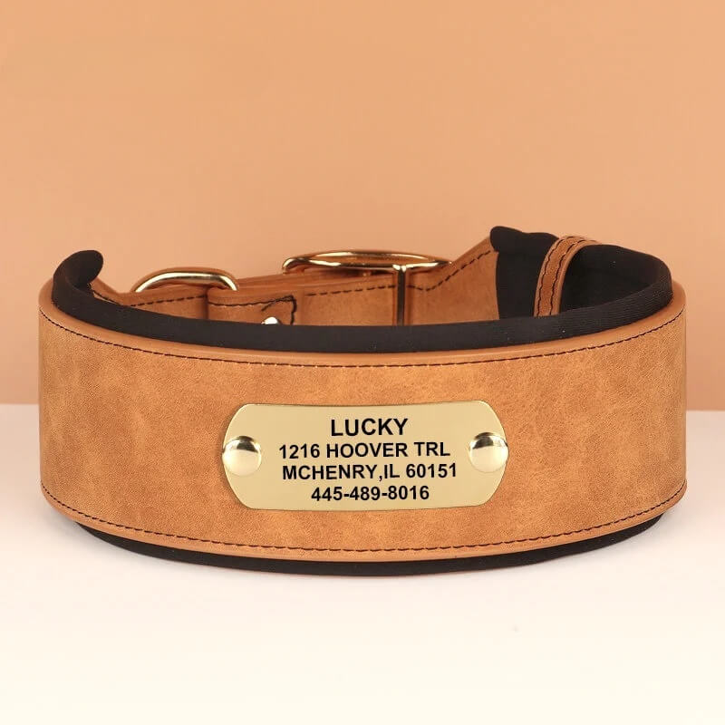 Custom engraved brown wide leather dog collar for medium and large dogs.