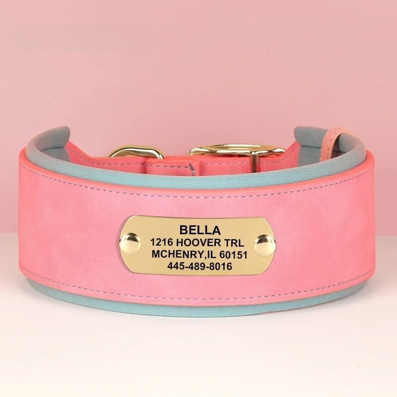 Custom engraved pink wide leather dog collar for medium and large dogs.