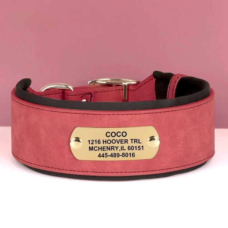 Custom engraved red wide leather dog collar for medium and large dogs.