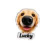 Custom golden retriever 3D squishy nose acrylic refrigerator magnet with personalized text
