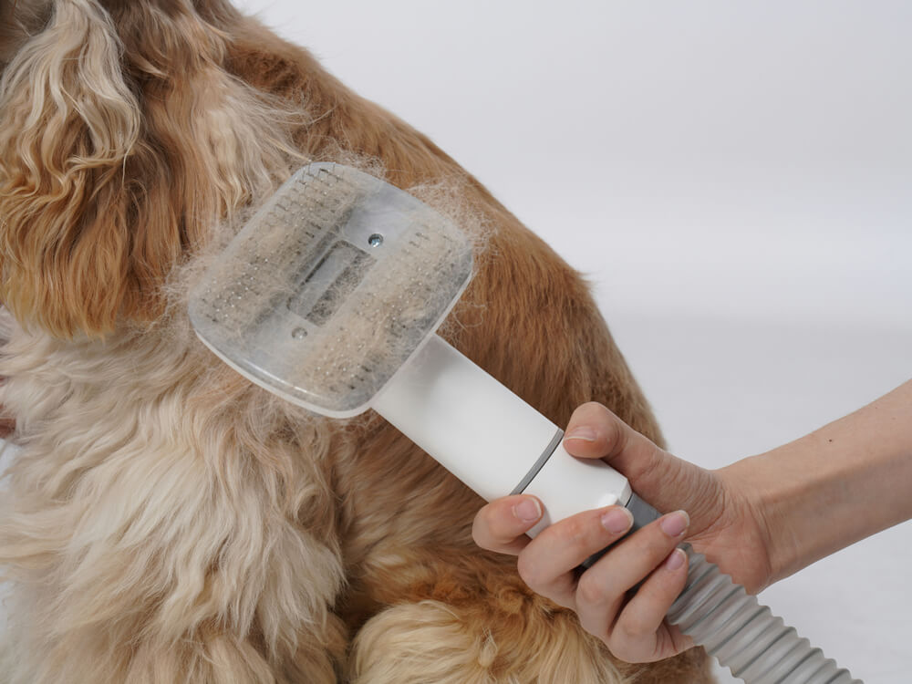 A pet owner brushing a dog’s coat to remove loose fur during shedding season
