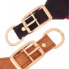detail.jpg Close-up detail of the metal buckle hardware on a wide leather dog collar.