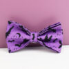 Purple Halloween bat bow tie for dogs