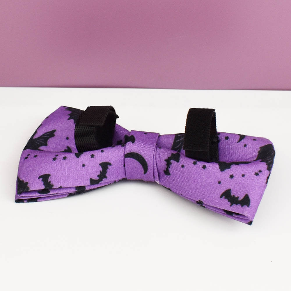 Back view of purple Halloween bat dog bow tie